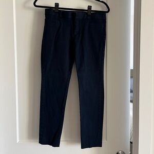 Banana Republic Sloan Pants
